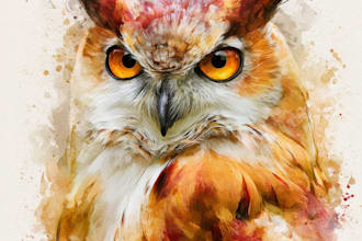 paint animals watercolor or digital illustration