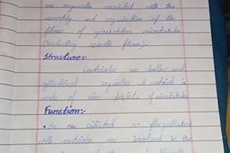 write anything by hand with neat calligraphy and quick delivery