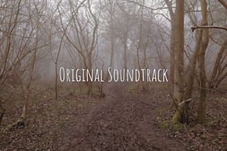 compose and produce soundtrack for your project