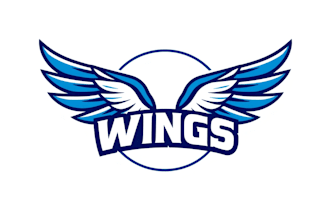 make amazing wings logo with express delivery