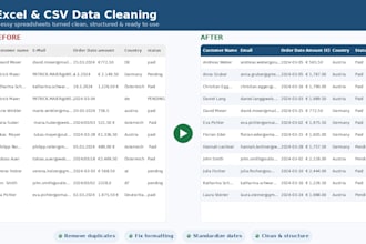 clean up organize and automate your excel or csv data