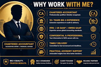 provide ifrs, ind as, US gaap and swiss gaap accounting advisory services