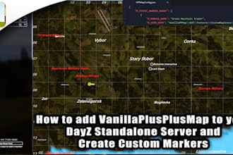 setup a custom dayz server for you