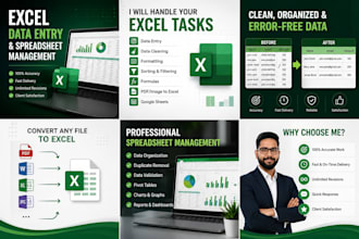 do excel data entry, data cleaning, excel formatting