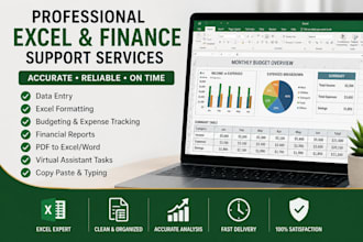 do professional excel data entry, budgeting, and financial spreadsheet tasks