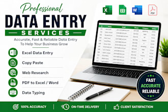 do accurate data entry, excel, copy paste, and web research
