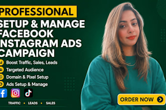setup and manage facebook and instagram ads campaign