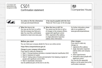 prepare and file your confirmation statement with