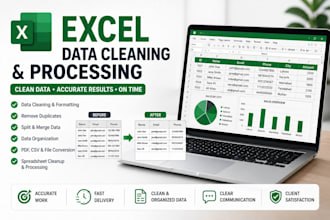 do excel data cleaning formatting and duplicate removal