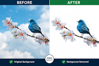 remove background and do product photo editing