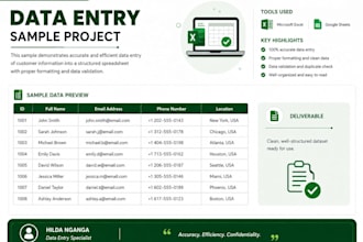 do accurate data entry, excel data entry, copy paste and web research