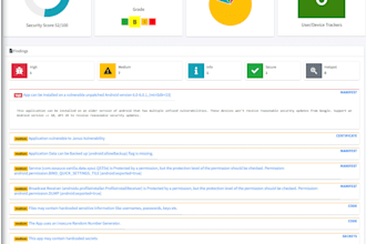 perform a mobile app security audit and vulnerability scan