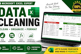do microsoft excel data cleaning, formulas, reports and dashboards