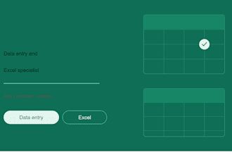 do accurate data entry, excel spreadsheets, and data cleanup