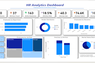 create professional power bi dashboards and reports
