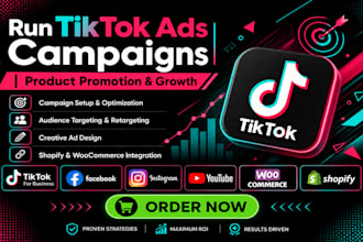 run tiktok ads campaigns product promotion, ecommerce and audience growth