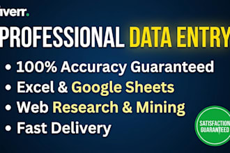 do professional excel data entry and copy paste work