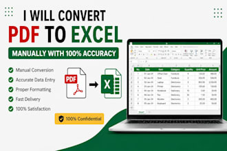 convert PDF to excel manually with accuracy