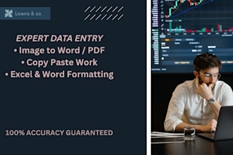 do professional data entry and image to word conversion
