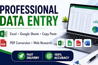 be your professional data entry operator