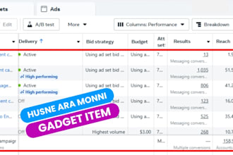 do facebook ads, google ads and you tube SEO professionally