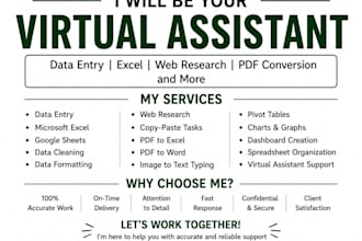 do excel, web research, copy paste, PDF to excel, and typing