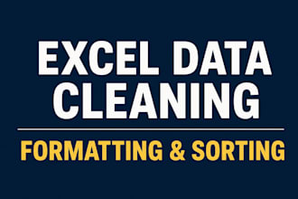 do professional excel data cleaning, formatting, and deduplication