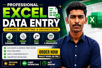 data entry, data cleaning, data formatting, data splitting, data marge