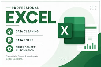 excel data cleaning, data entry, and spreadsheet automation