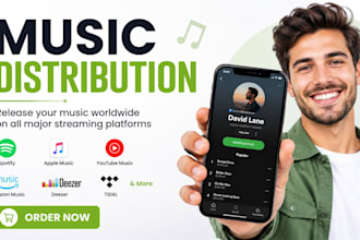 be music distribution, music manager fix distribution issues and music marketing