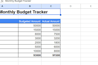 create professional excel spreadsheet or budget tracker