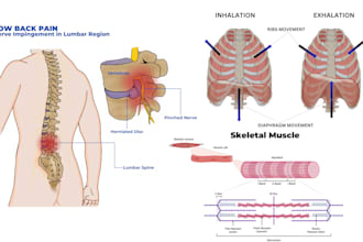 do all medical and scientific illustrations and diagrams