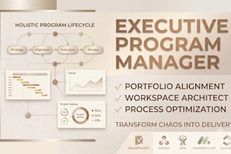 your strategic program manager for complex projects and scaling
