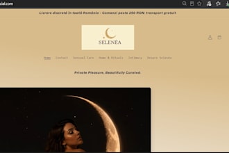 build a professional shopify store from scratch