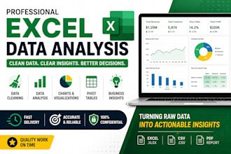 clean, analyze, and visualize your excel or CSV data professionally