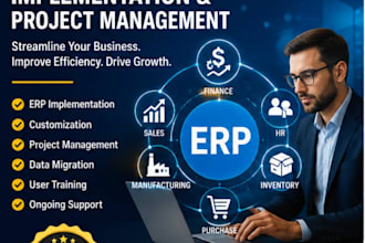 implement,customize,manage your erp system professionally