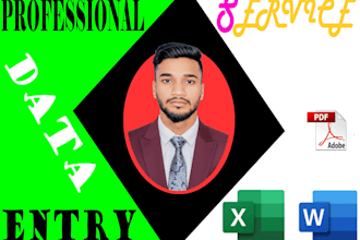 do excel data entry, copy paste and website data entry