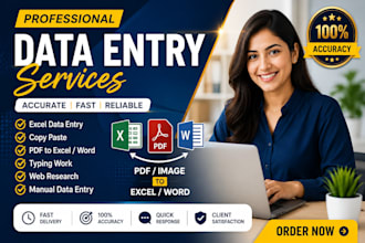 provide accurate data entry excel data entry and copypaste
