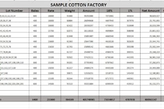 expert data entry cleaning excel and PDF