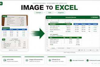 convert image to editable excel spreadsheet
