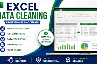 clean, organize, and format your excel or CSV data