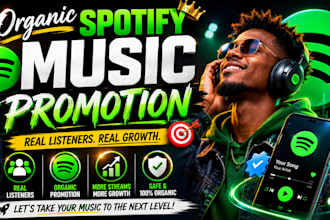do professional music promotion for artists in 24 hours