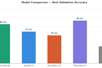 build a custom ai image classification model in python