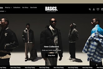 setup clothing website, boutique or fashion store, streetwear website