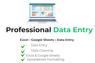accurate data entry in microsoft excel and google sheets
