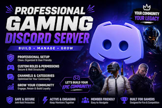 create a professional, eyecatchy, secure gaming discord server