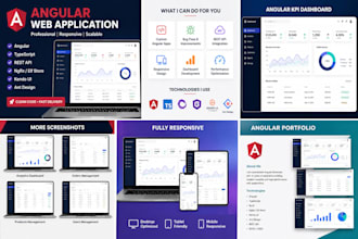 develop a professional angular web application