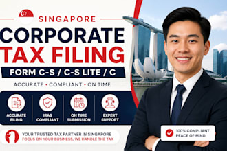 prepare and file singapore tax, corporate income tax, financial statement iras