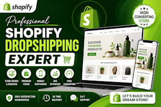 build a professional shopify dropshipping website
