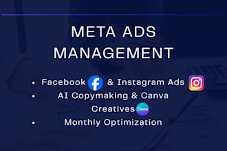 be your facebook ads manager and expert media buyer